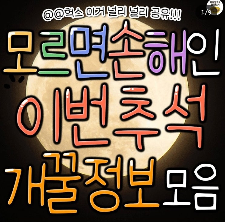  이번 추석 개꿀정보 모음