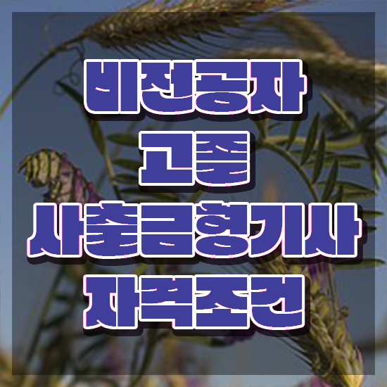  사출금형기사 합격 사출금형기사 응시조건 학점은행제로 단기간에 끝낸 방법