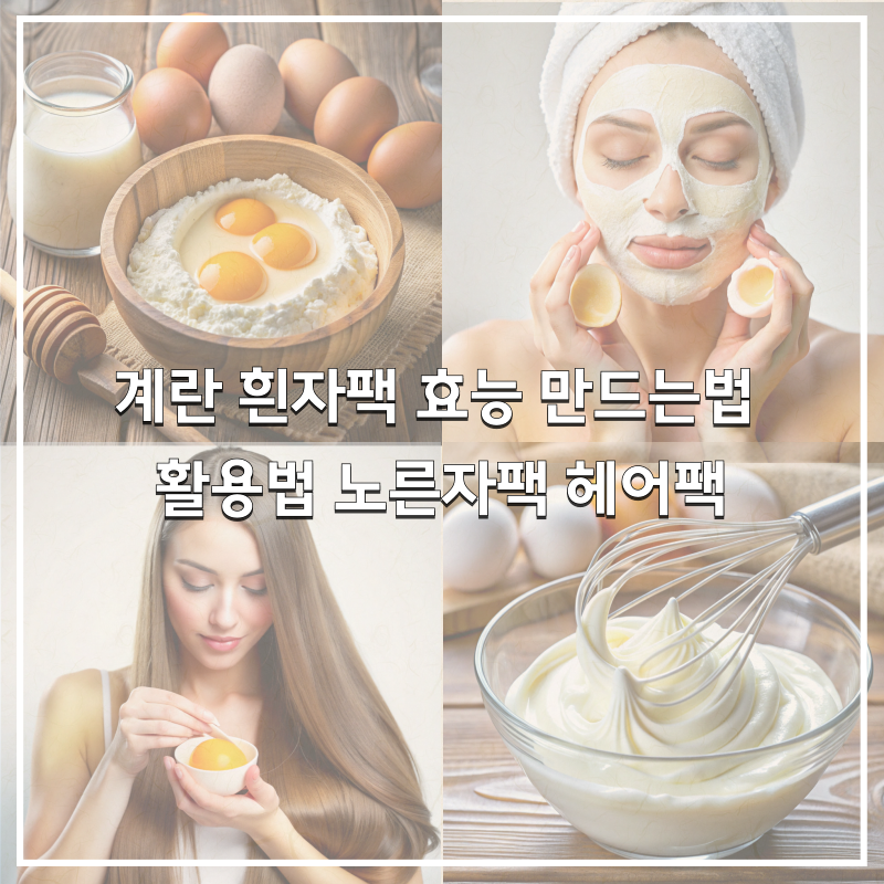 계란 흰자팩 효능 만드는법 활용법 노른자팩 헤어팩