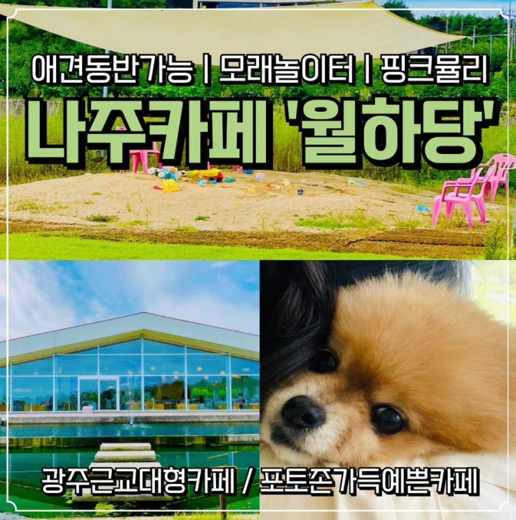  [광주 근교 애견동반가능]나주 월하당: 모래놀이터, 핑크뮬리 포토존가득한 예쁜카페
