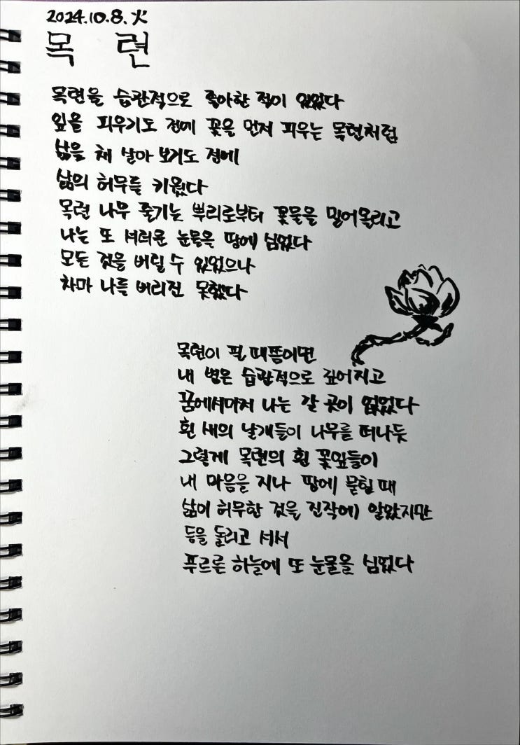  [필사] 목련-류시화