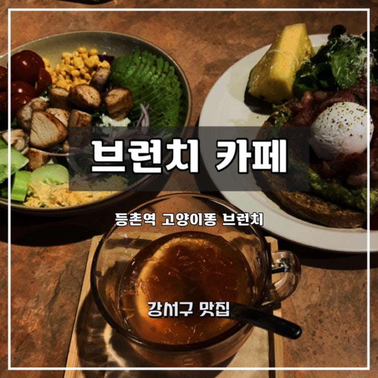  [브런치 카페] 고양이똥 브런치