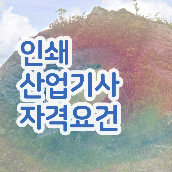  인쇄산업기사 취득자격 독학으로 편하게 완료한 전략
