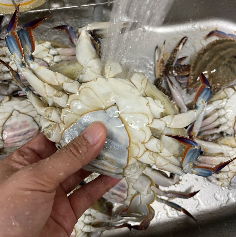 가을 생물 꽃게 손질하는법 찌는시간 꽃게찜 레시피(홈플러스 2kg 꽃게)