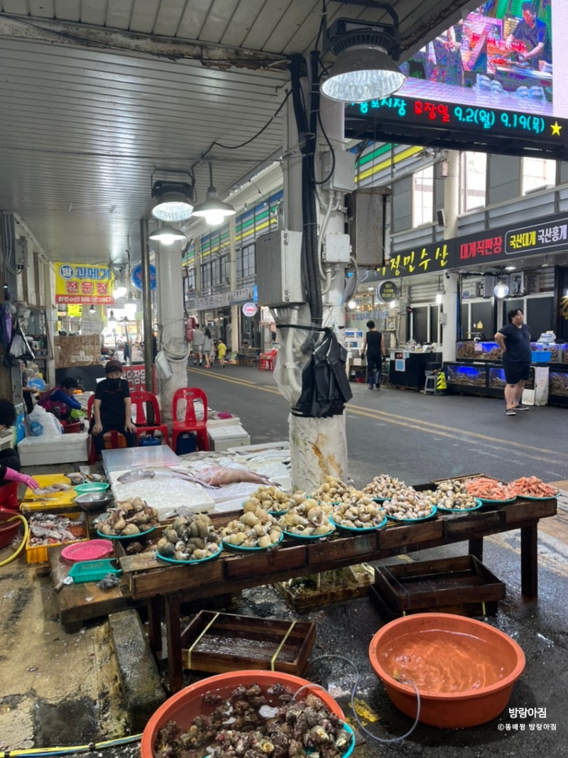 사진 7
