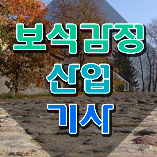  보석감정산업기사 관련학과 보석감정산업기사 응시조건 온라인 과정으로 단기간에 완료한 비법