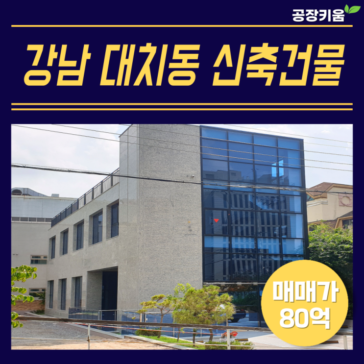  강남 대치동 신축건물 매매