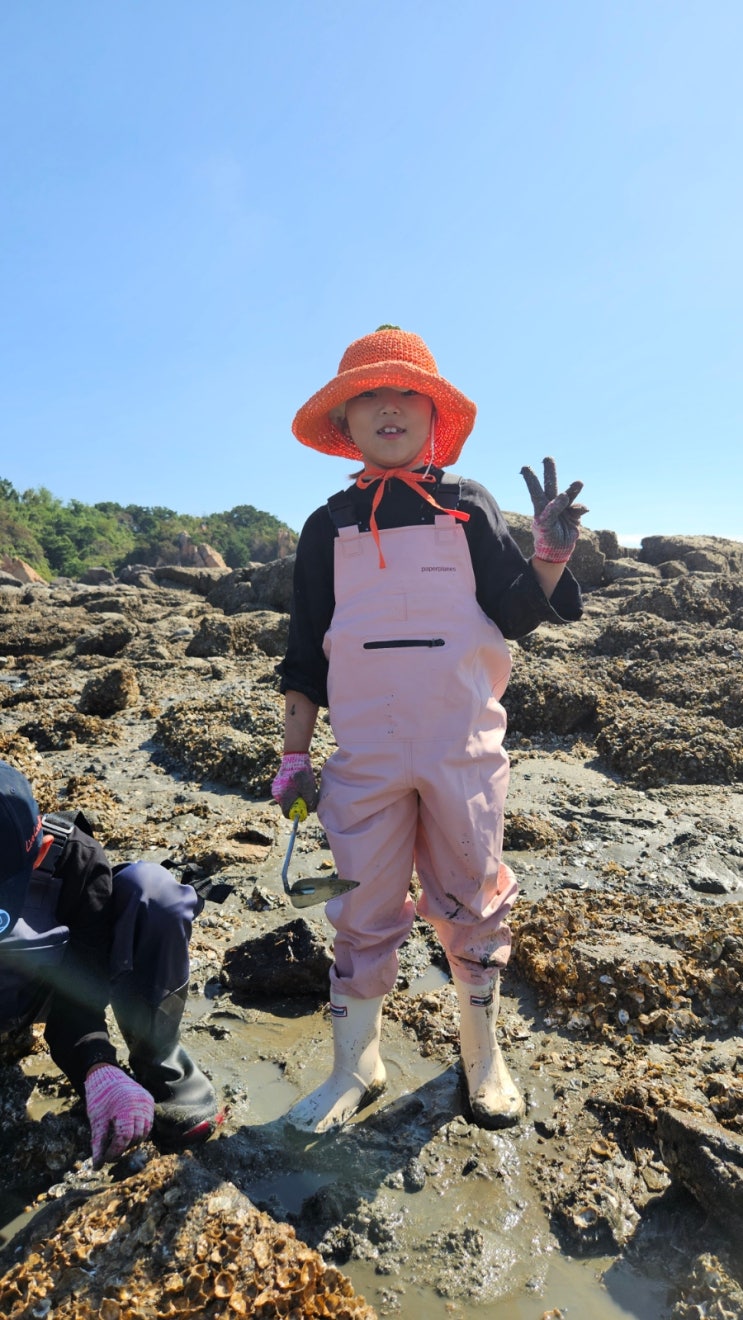  선녀바위 해수욕장 해루질, 7세아이와 주말 나들이