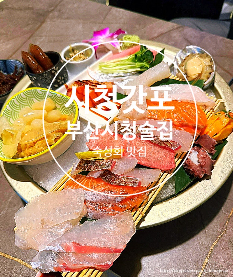  부산 시청 술집 '시청갓포' 숙성회가 맛있는 이자카야