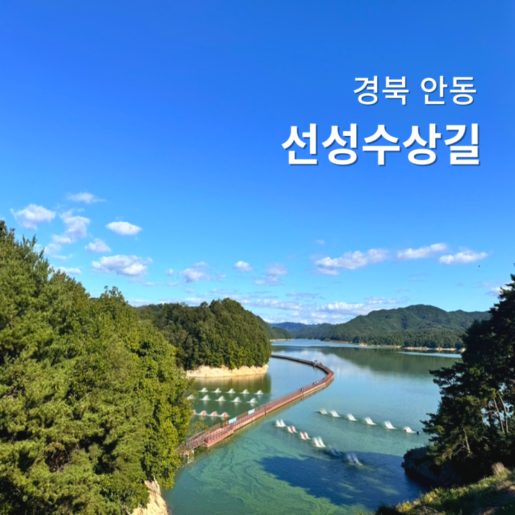  안동 선성수상길 주차 경북 가볼만한곳