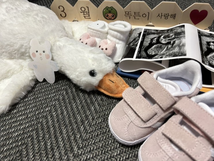 임신 5개월차 어느날 일기