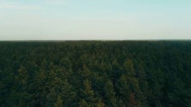  사회복지사2급온라인 ~ 사회복지사 고졸자도 인강으로 간단하게