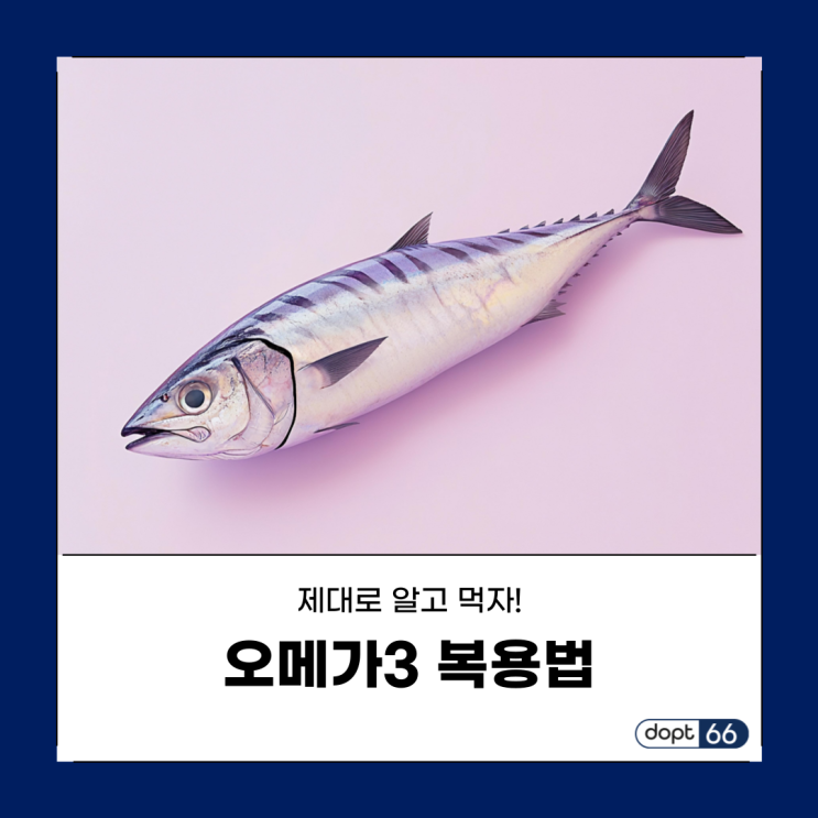 오메가3 복용법, 효능부터 알티지 오메가3까지, 제대로 알고 먹자!