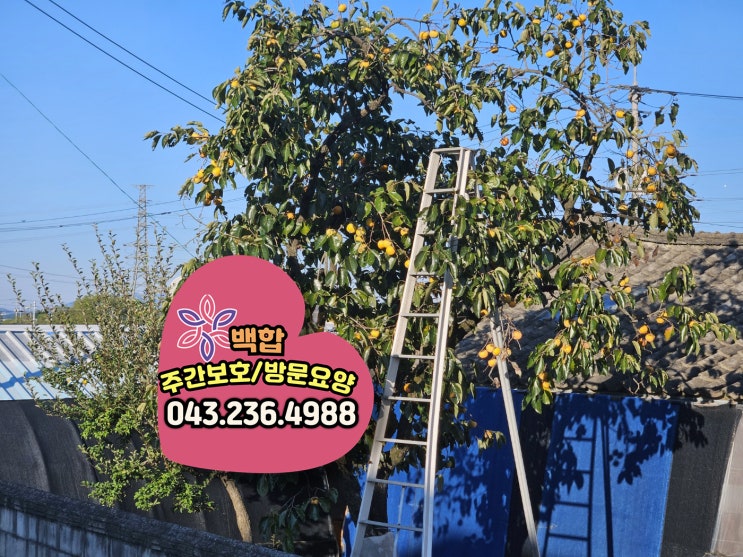  청주 장기요양 기관 : 가을맞이, 웃음과 추억이 가득한 일상과 즐거운 프로그램