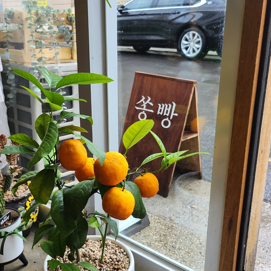 쏭빵 사진 1