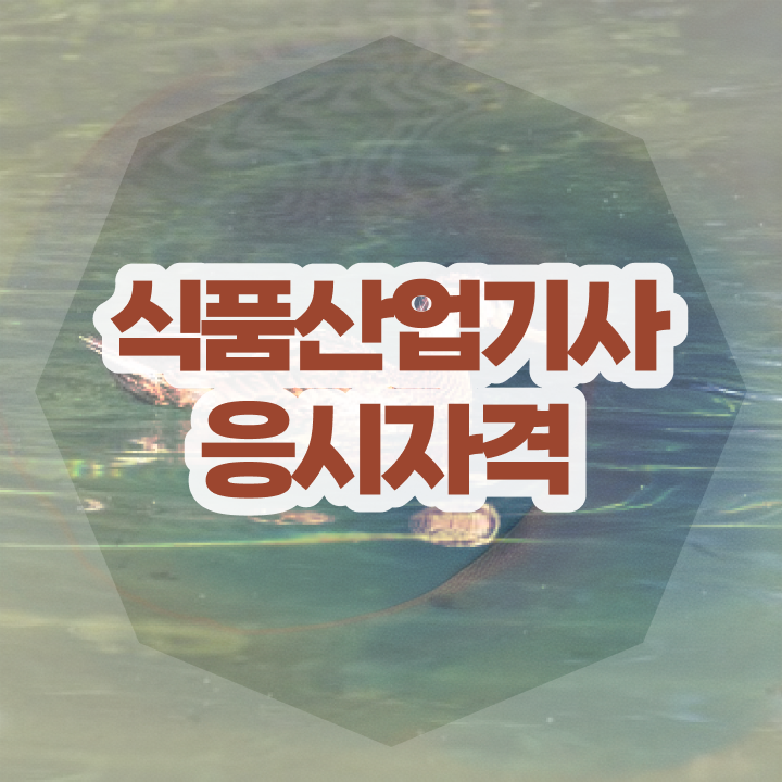  식품산업기사 응시조건 인강만 듣고 단기간에 완료한 노하우