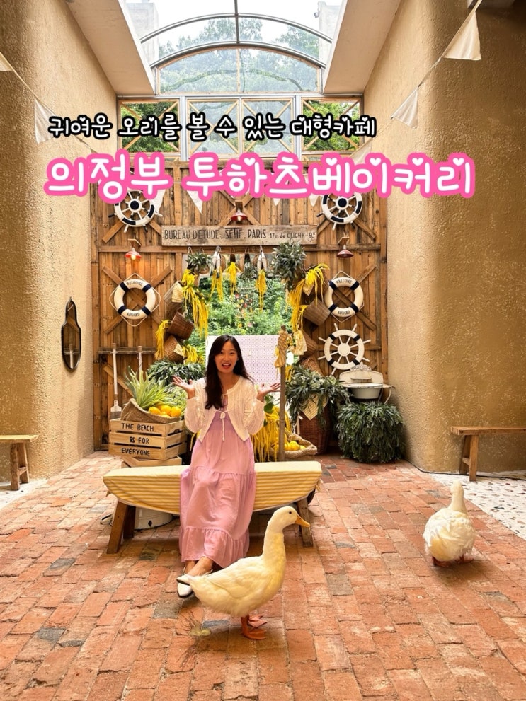  의정부 투하츠 베이커리_귀여운 오리를 볼 수 있는 의정부 대형 카페