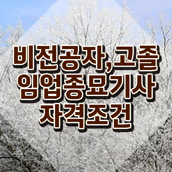  임업종묘기사 응시조건 독학으로 단기간에 끝낸 팁