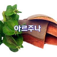  (인디샘) 인도에서 허브/약초의 제품/상품의 형태 별 제조가격/수출가격/도매가격 알아보기