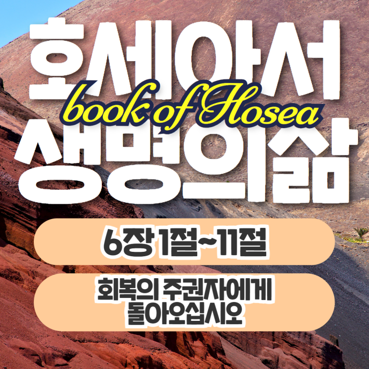 생명의삶 묵상 10월 8일 호세아 6장 1절~11절 - 회복의 주권자 생명의삶 묵상 10월 8일 호세아 6장 1절~11절 - 회복의 주권자
