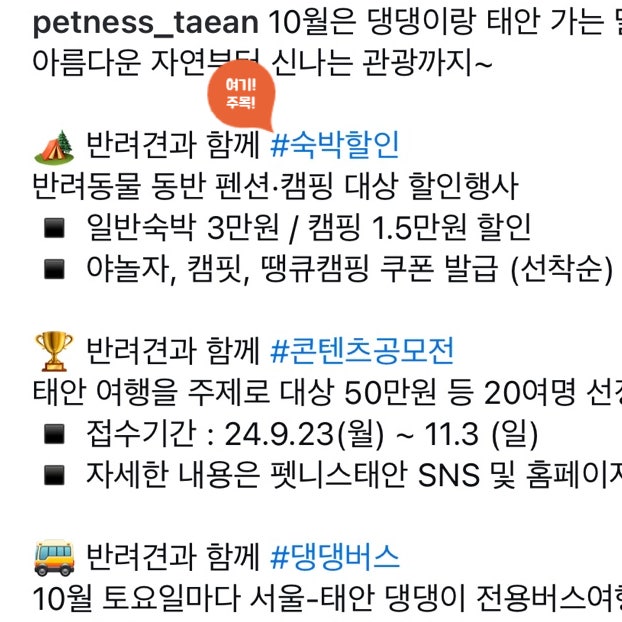 사진 11