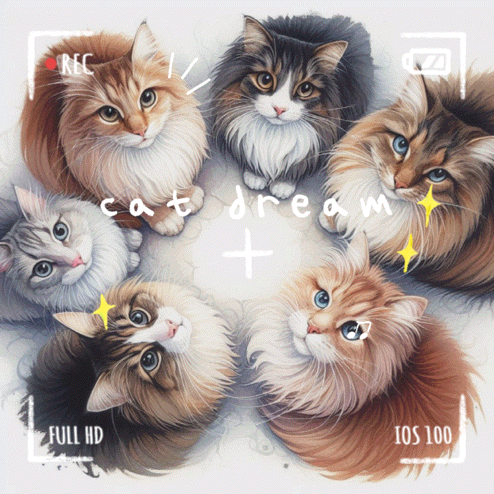  고양이꿈 고양이 여러마리 꿈 물리는꿈 해몽