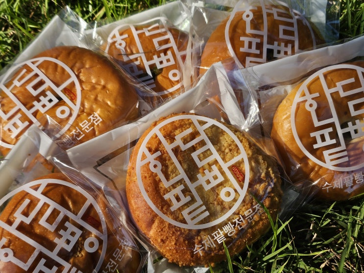 제주도민 빵맛집 "한담팥빵" 제주 빵지순례 빵집 추천
