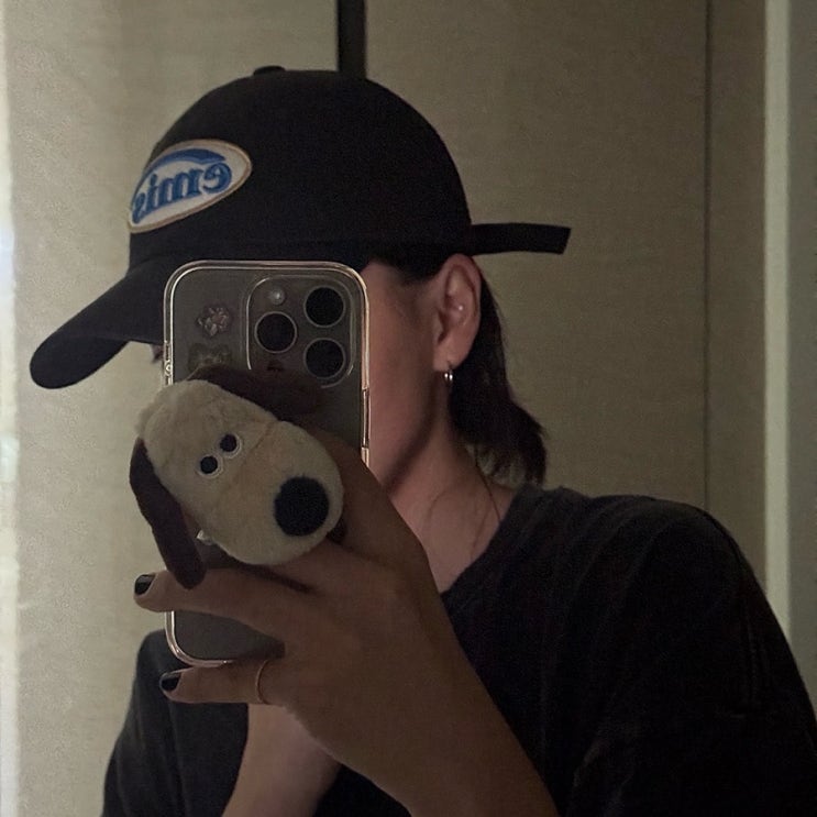  귀여운 정품 그로밋 그립톡 스마트톡으로 아이폰 꾸미기
