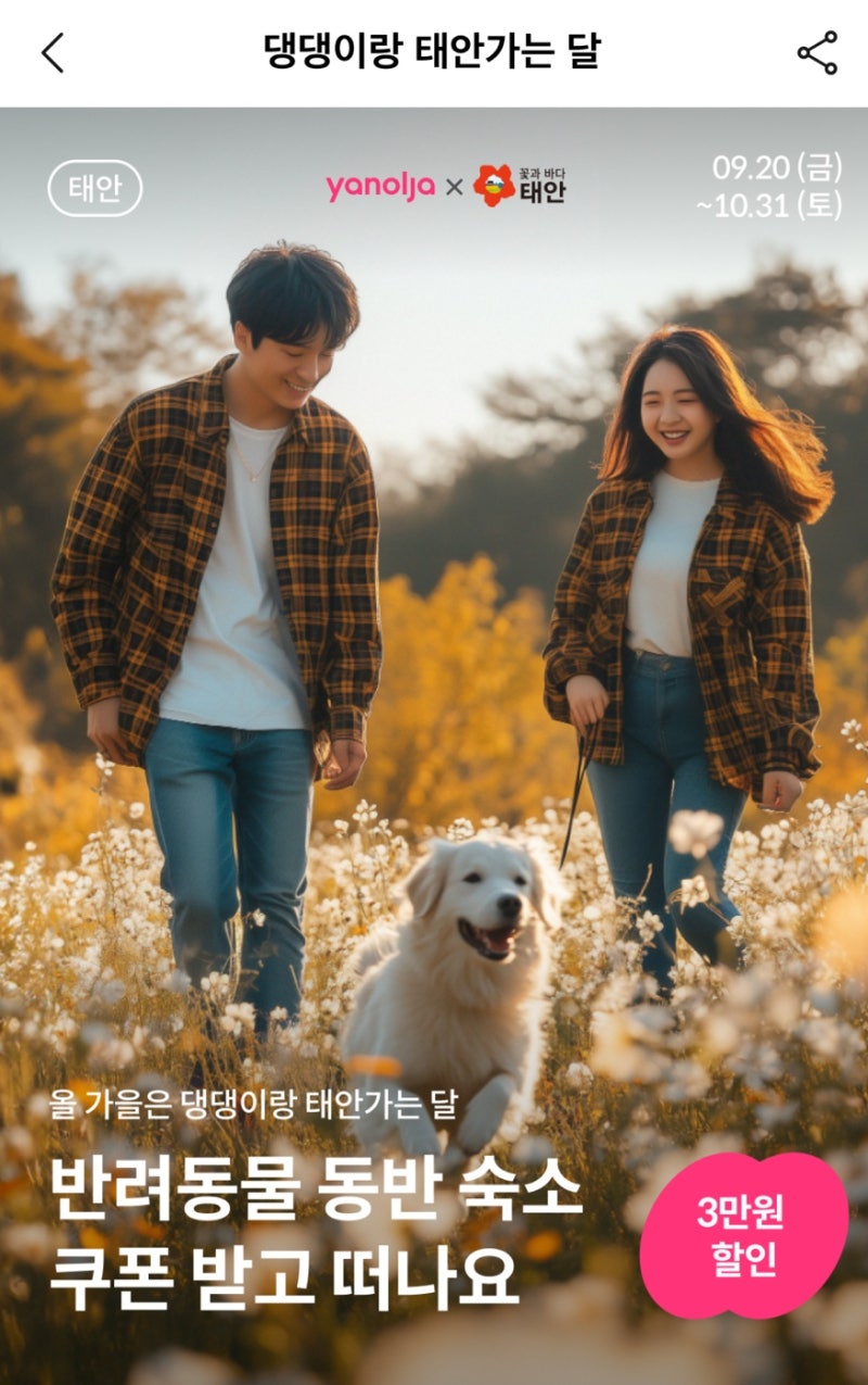 사진 12