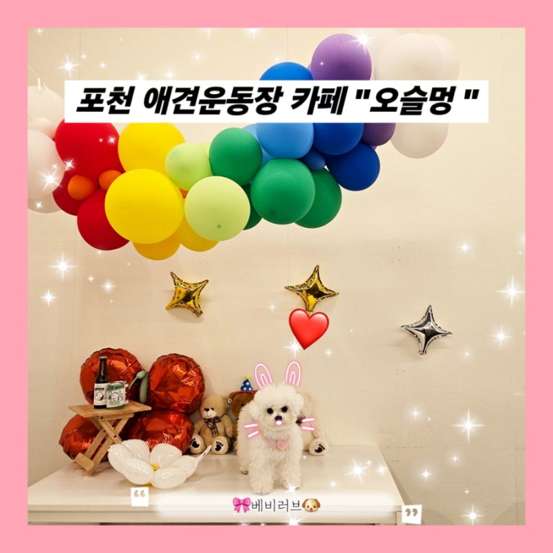 오슬멍 [애견카페,애견운동장]