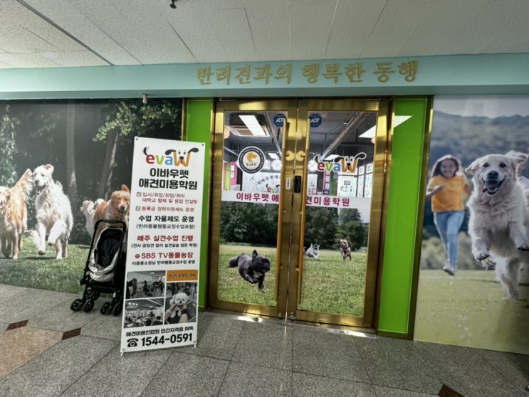  일산애견미용학원 창업 1년 준비 가능할까