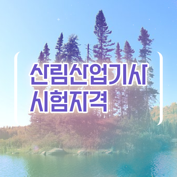  산림산업기사 필기 산림산업기사 시험응시자격 학점은행제로 빠르게 성공한 후기