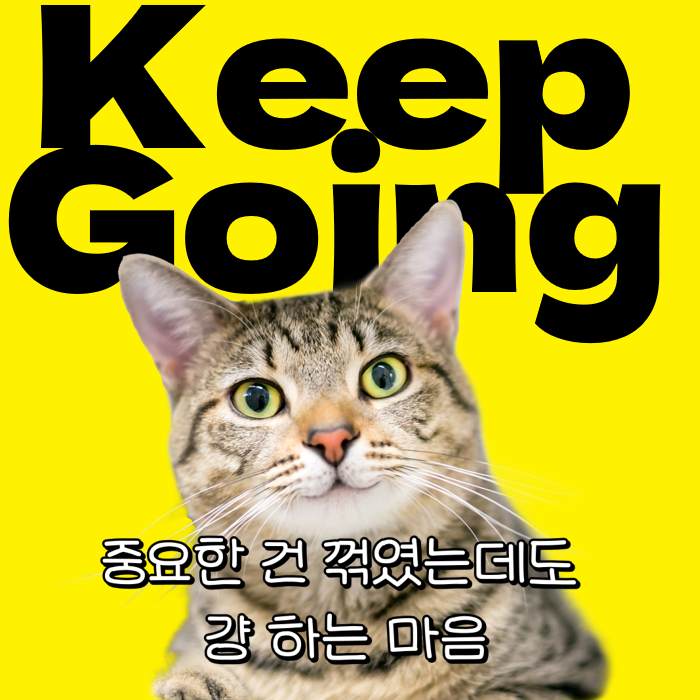  *공지사항*