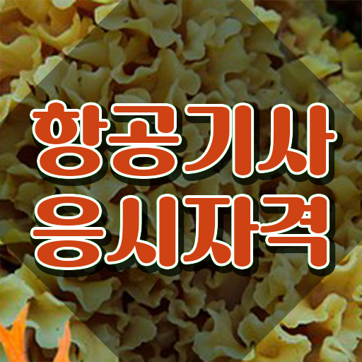  항공기사 항공기사 취득자격 학점은행제로 간편하게 끝낸 전략