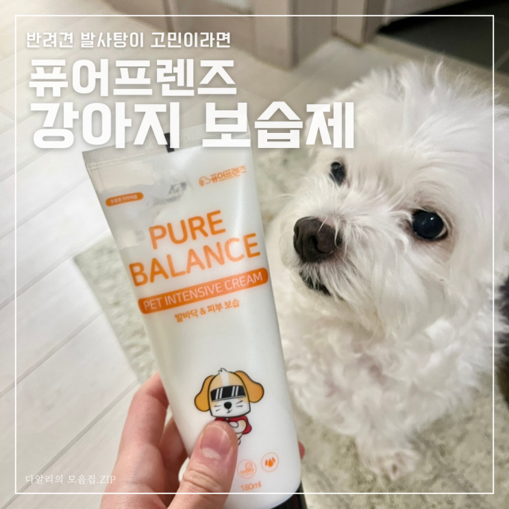  반려견 발사탕이 고민이라면? 퓨어프렌즈 강아지보습제 발바닥밤으로 해결