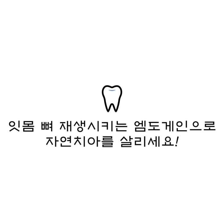  잇몸 뼈 재생시키는 엠도게인으로 자연치아를 살리세요!