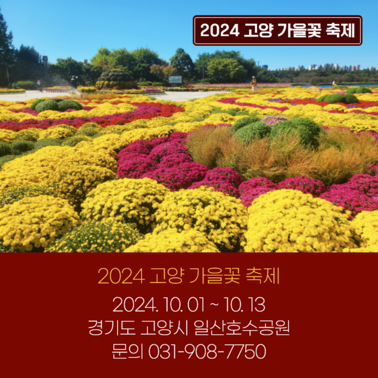  [로지스허브x여행스케치] 가을 꽃 축제 추천
