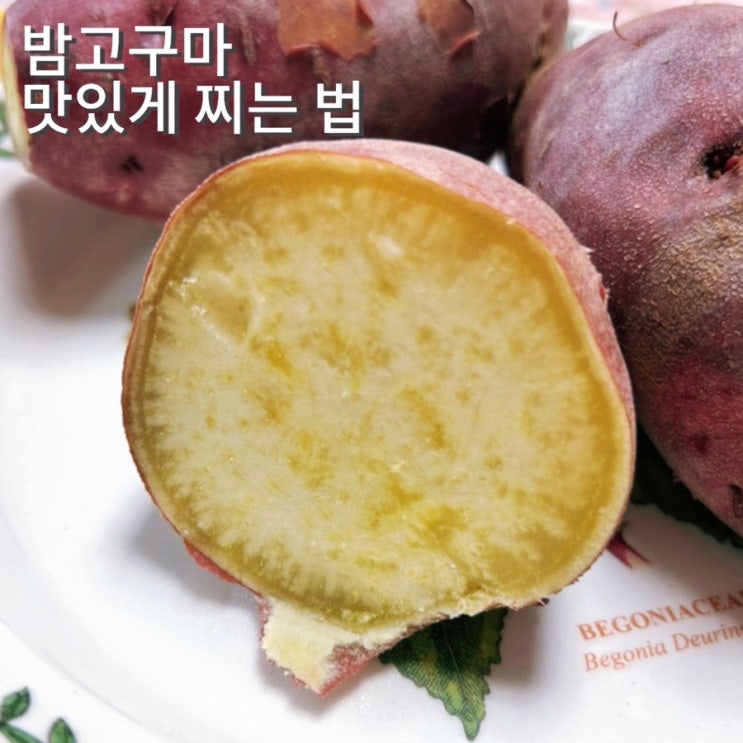  햇밤고구마 띵띵마켓 전기밥솥 전자레인지 에어프라이어 찌는 법
