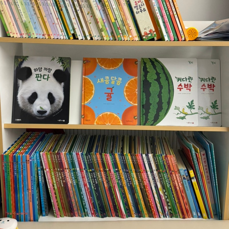 돌아기 자연관찰 그레이트북스 놀라운 자연 전집 가격 구성... 