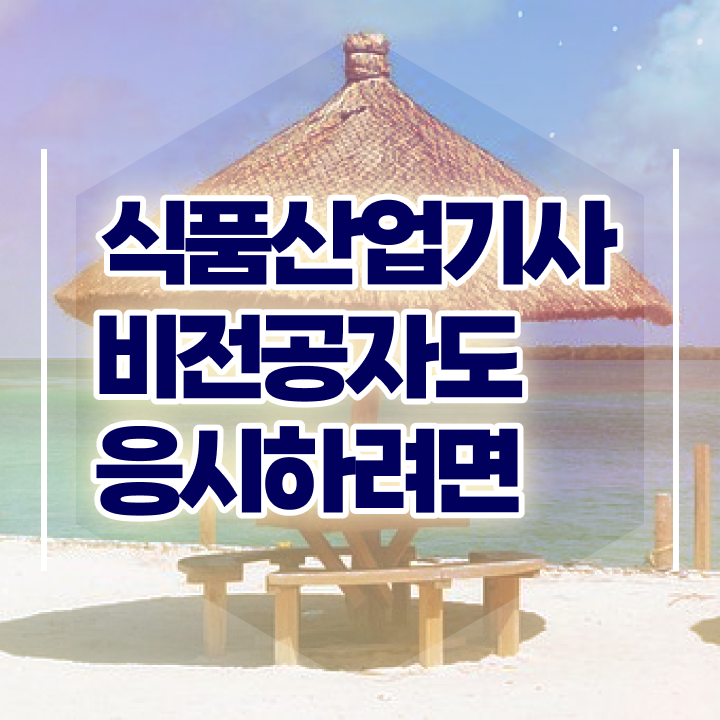  식품산업기사 전망 식품산업기사 시험응시자격 인강만 듣고 간단하게 성공한 후기