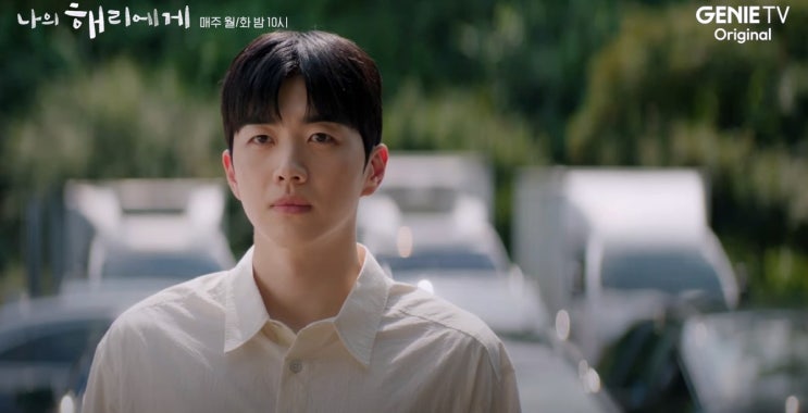 ENA 드라마 나의 <b>해리에게</b> 6화 줄거리