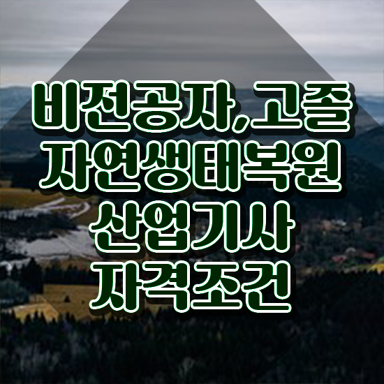  자연생태복원산업기사 비전공자 자연생태복원산업기사 응시자격 온라인 수업으로 간단하게 준비한 팁