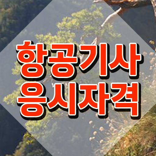  항공기사 응시자격확인 항공기사 시험자격 집에서 온라인으로 빠르게 성공한 전략