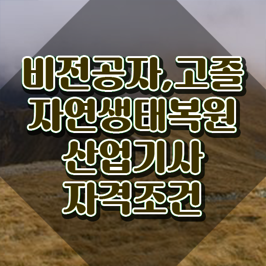  자연생태복원산업기사 응시조건 집에서 온라인으로 편하게 준비한 방법