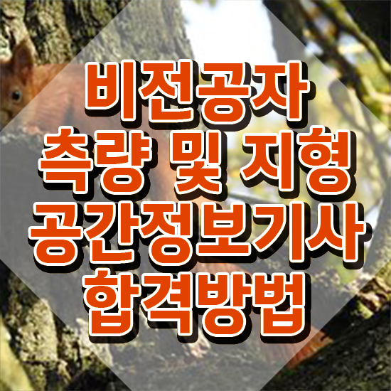  측량및지형공간정보기사 합격률 측량및지형공간정보기사 응시자격 온라인으로 간편하게 완료한 후기