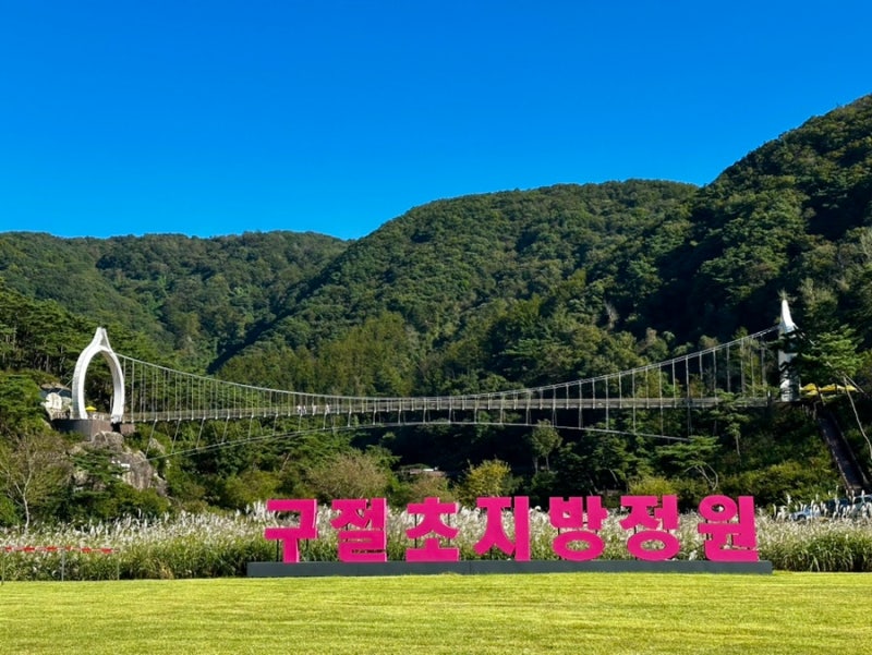 사진 2