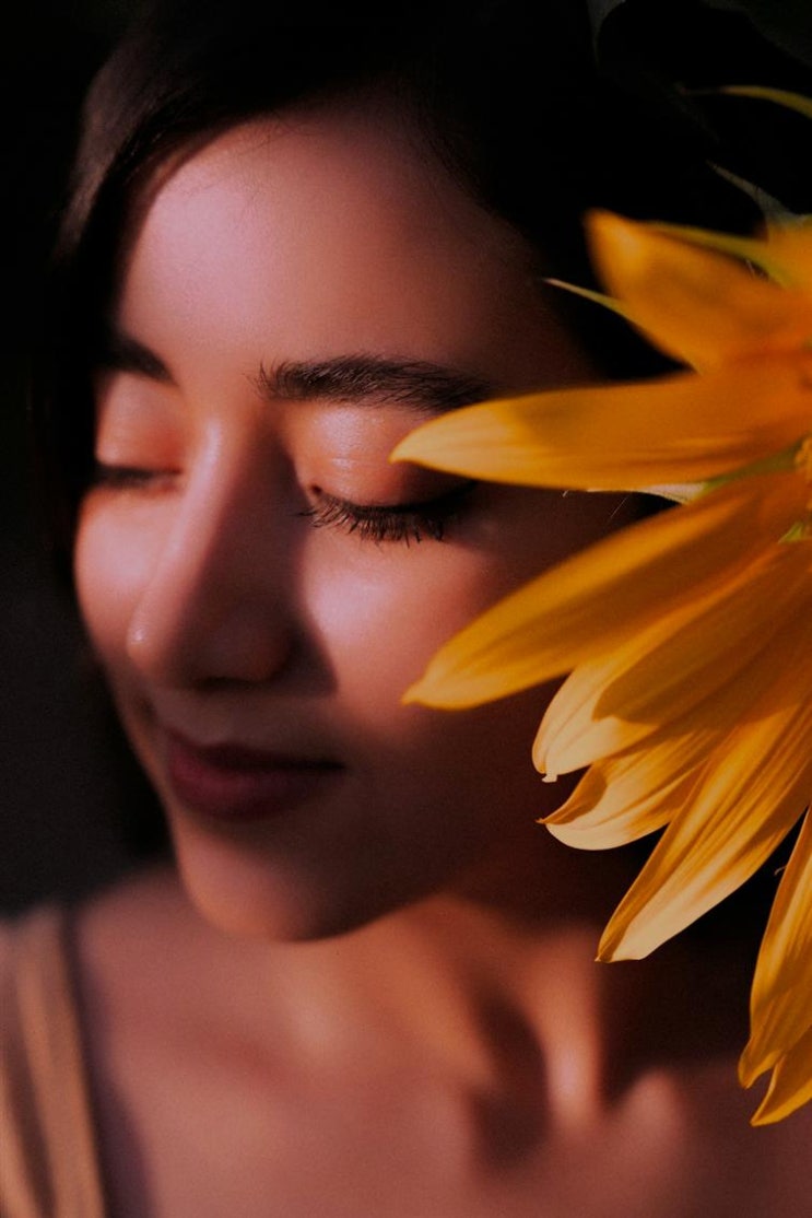  페르시안 친칠라 분양의 모든 것