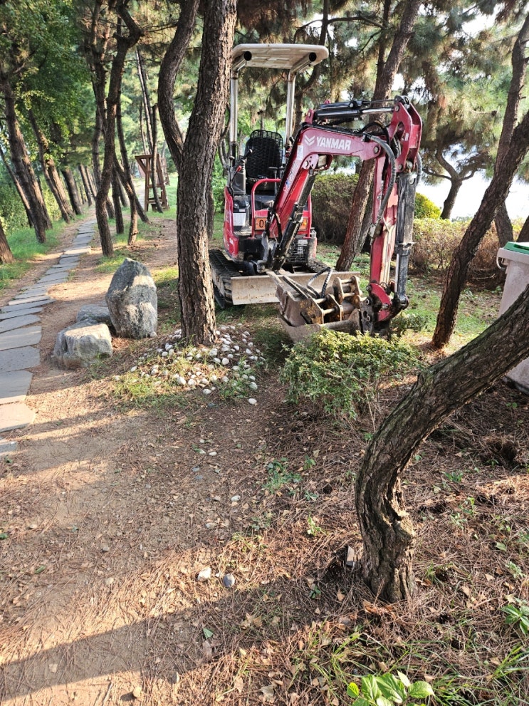  인천중구 본부세관 보행로 통행로 나무사이 기초석터파기 화단 공원등 설치 017미니포크레인 작업(허니미니중기)