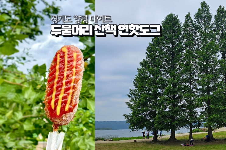  양평 두물머리 핫도그 주차장 연꽃 경기도 데이트코스 가볼만한곳