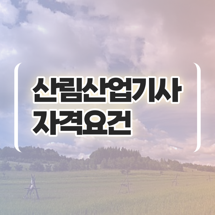  산림산업기사 산림산업기사 자격요건 독학으로 편하게 완료한 방법